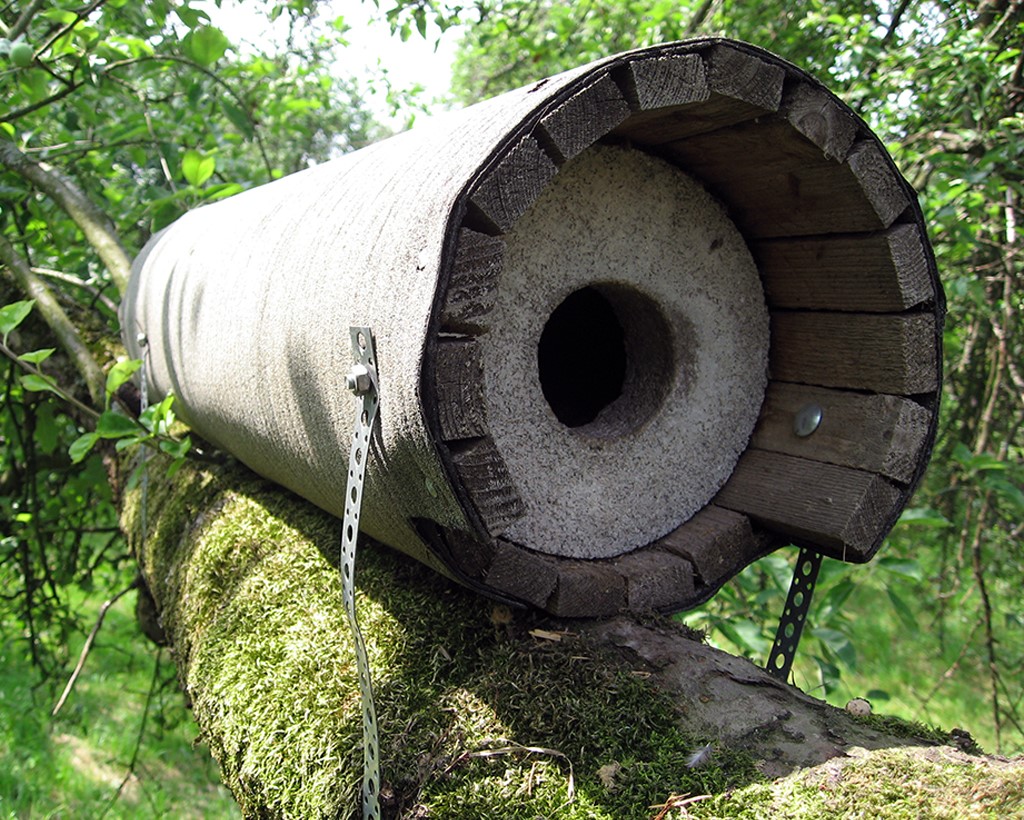 NR. 20 CAJA NIDO PARA MOCHUELO COMÚN 3