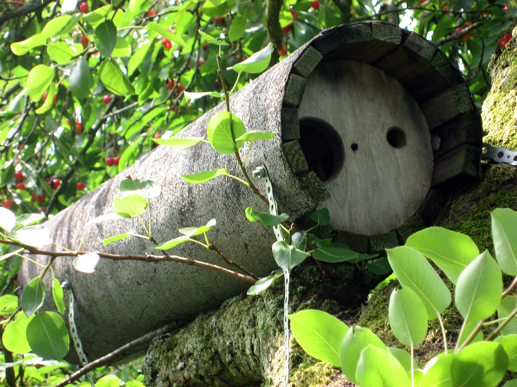 NR 20A CAJA NIDO PARA MOCHUELO CON PROTECCIÓN ESPECIAL PARA DEPREDADORES 2