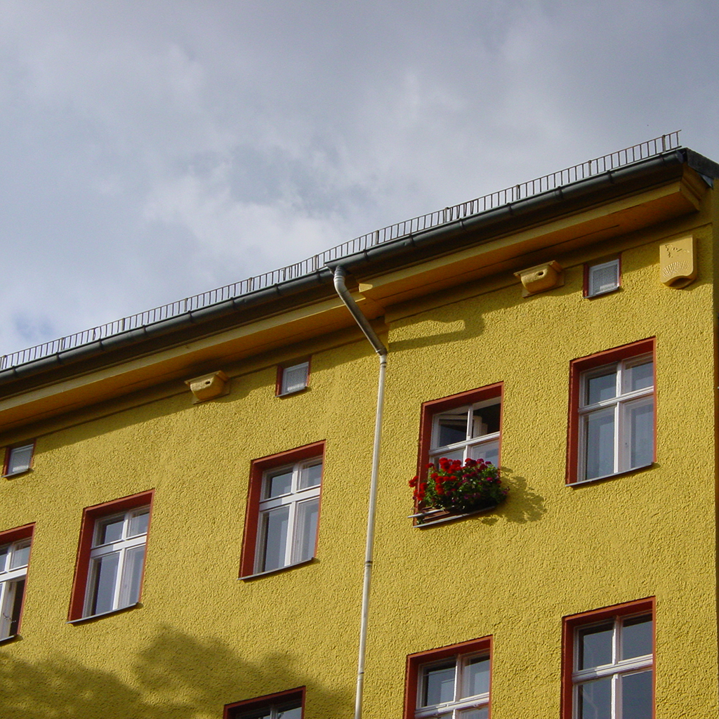 Nº 18 CAJA NIDO PARA VENCEJO COMÚN 3