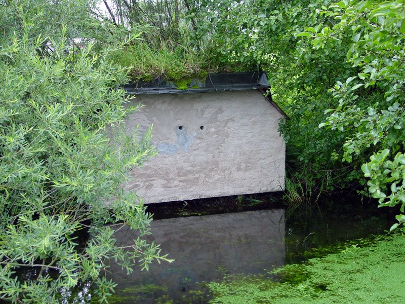 CAJA NIDO PARA MARTÍN PESCADOR O AVIÓN ZAPADOR 4