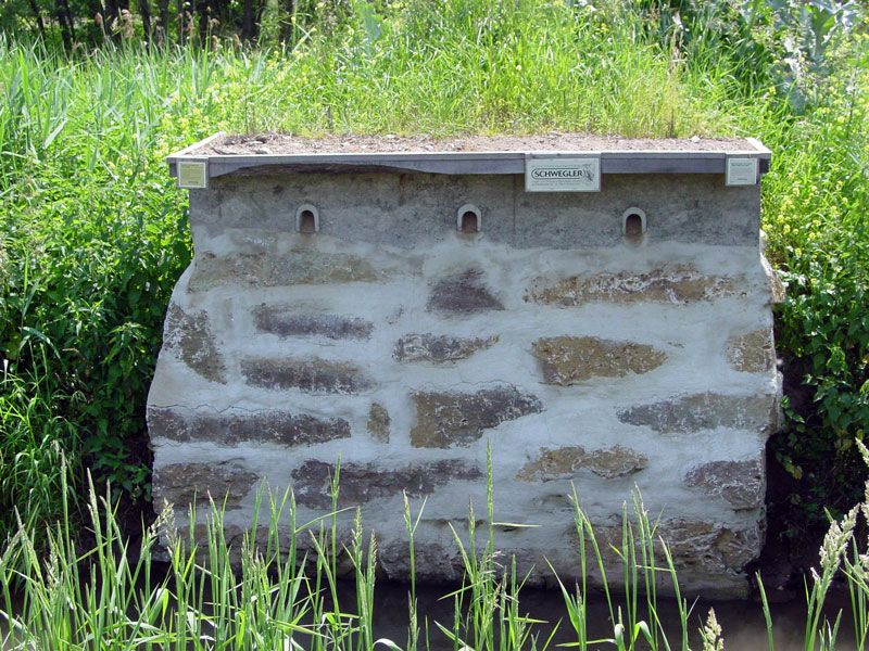 CAJA NIDO PARA MARTÍN PESCADOR O AVIÓN ZAPADOR 5