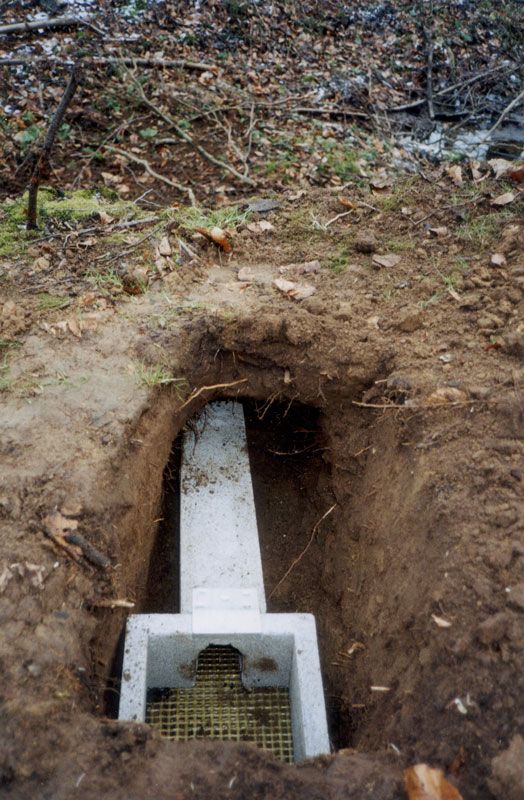 CAJA NIDO PARA MARTÍN PESCADOR O AVIÓN ZAPADOR 6