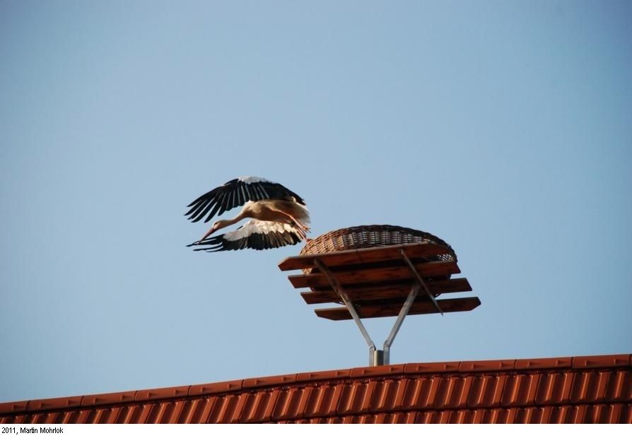 CESTA DE MIMBRE PARA CIGÜEÑAS 3