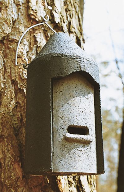 2F CAJA NIDO UNIVERSAL PARA MURCIÉLAGOS 3