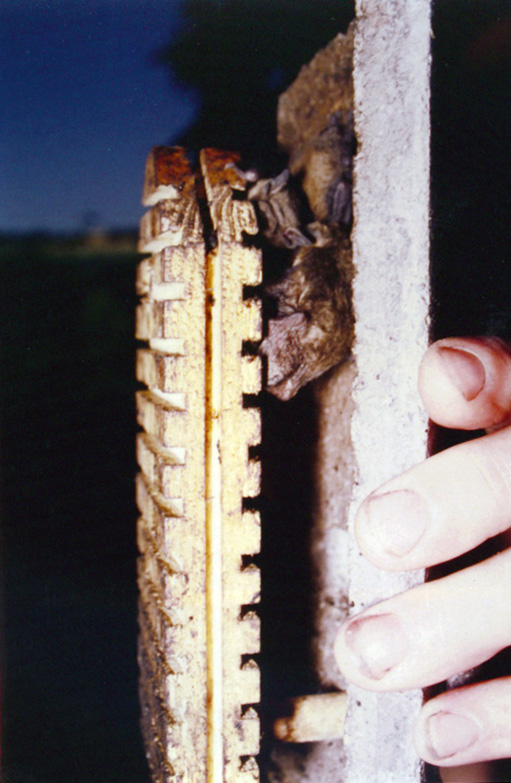 2F-D CAJA NIDO PARA MURCIÉLAGOS DOBLE PARED 3