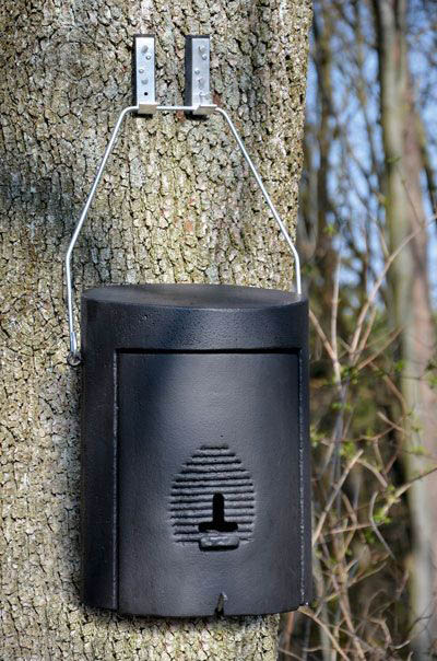 1FW REFUGIO DE INVIERNO PARA MURCIÉLAGOS 2