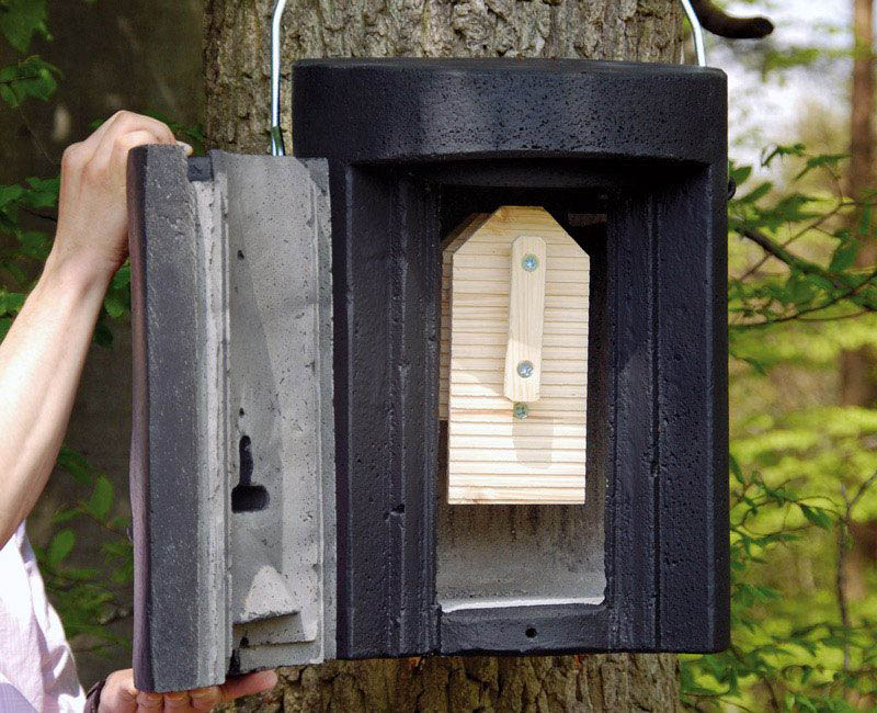 1FW REFUGIO DE INVIERNO PARA MURCIÉLAGOS 3