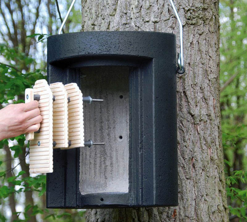 1FW REFUGIO DE INVIERNO PARA MURCIÉLAGOS 4