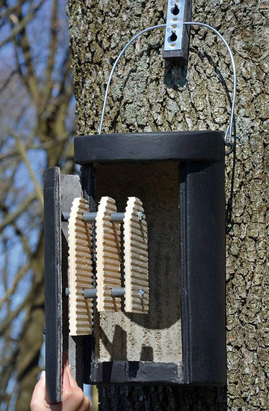 1FS CAJA NIDO PARA COLONIAS DE MURCIÉLAGOS 3