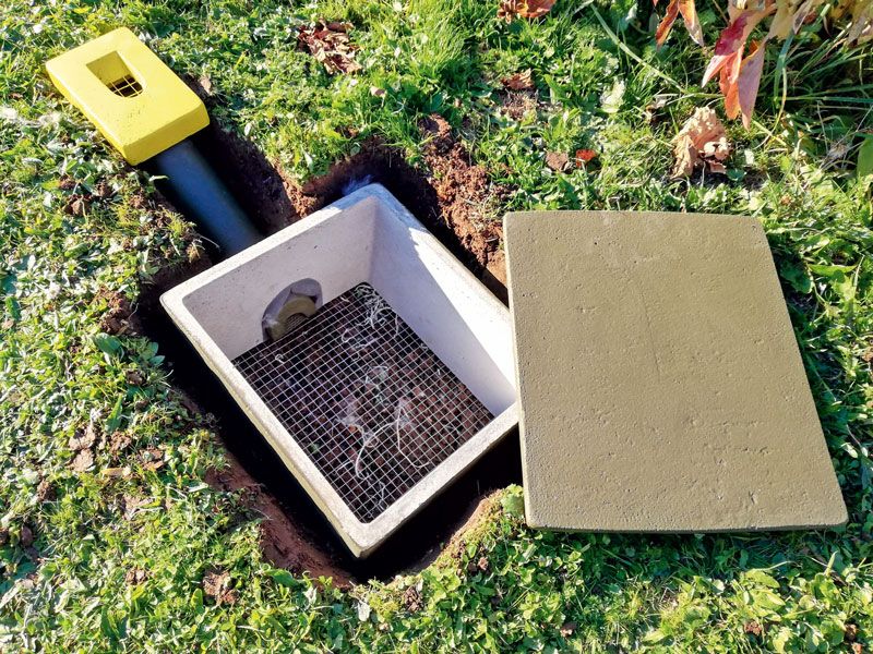 PANAL SUBTERRÁNEO PARA ABEJORROS 3