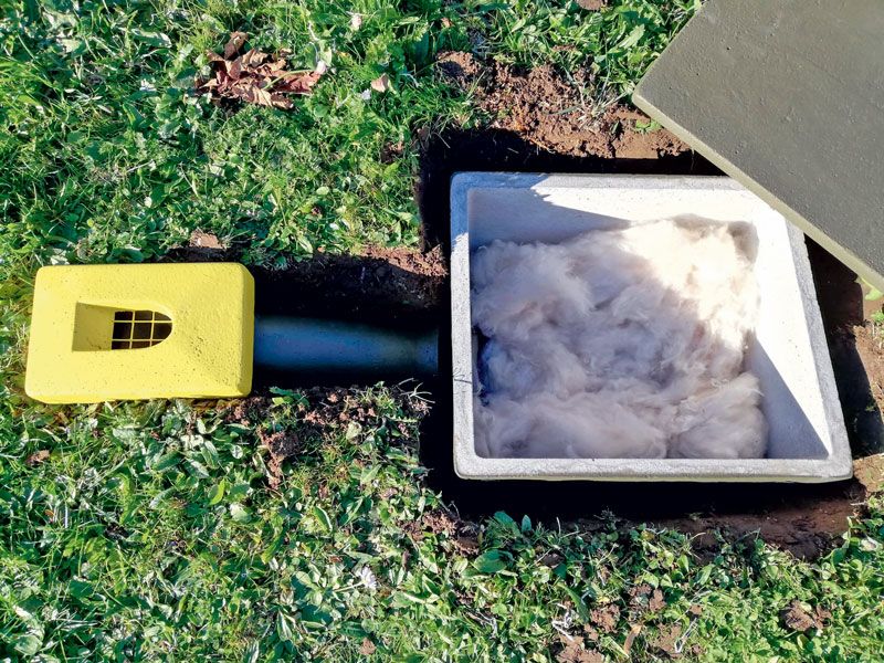 PANAL SUBTERRÁNEO PARA ABEJORROS 4