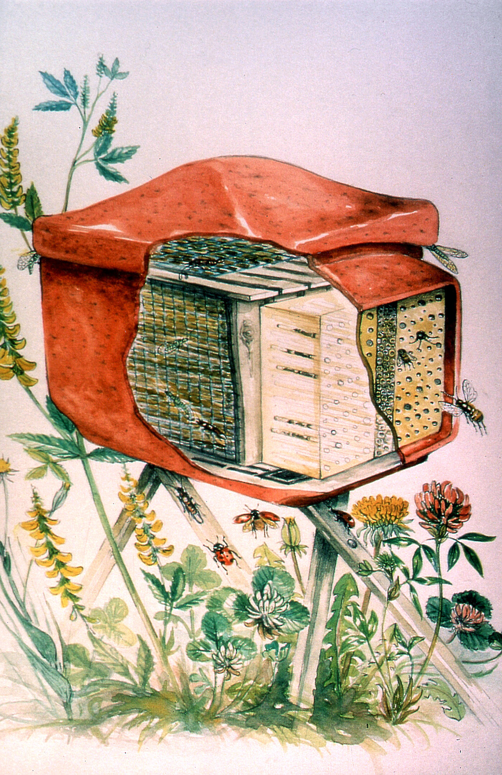 HOTEL "INSECT COMBI" CON SOPORTE PARA DISTINTAS ESPECIES DE INSECTOS 4