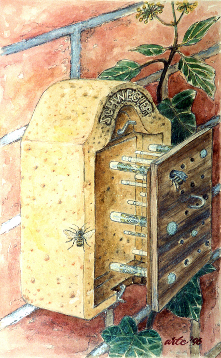 NIDO PARA HIMENÓPTEROS ESPECIAL PARA OBSERVAR LAS LARVAS 4