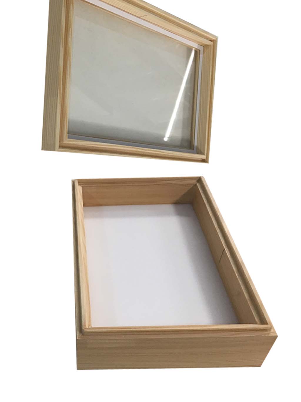 CAJA ENTOMOLÓGICA DE MADERA 15x23x6 cm                                                                                                                 2