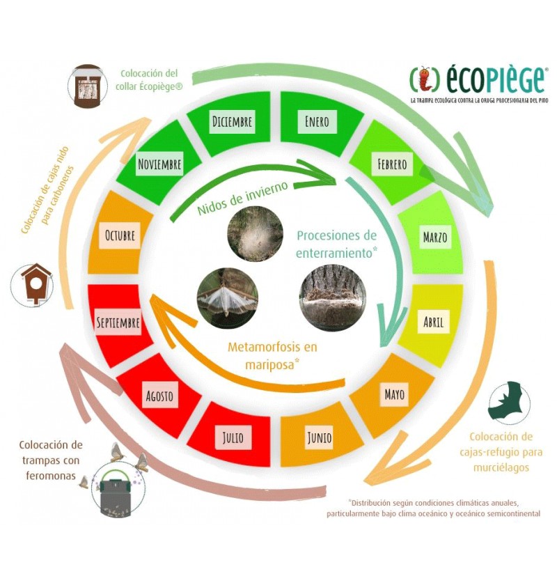 ECOPIEGE 30CM COLLAR PARA EL CONTROL DE LA ORUGA DE LA PROCESIONARIA 3