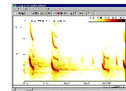 PROGRAMA INFORMÁTICO DE ANÁLISIS DE LOS GRITOS DE MURCIÉLAGOS PETTERSSON BATSOUND REAL-TIME SPECTROGRAM ANALYSIS, VERSION 4.7 1