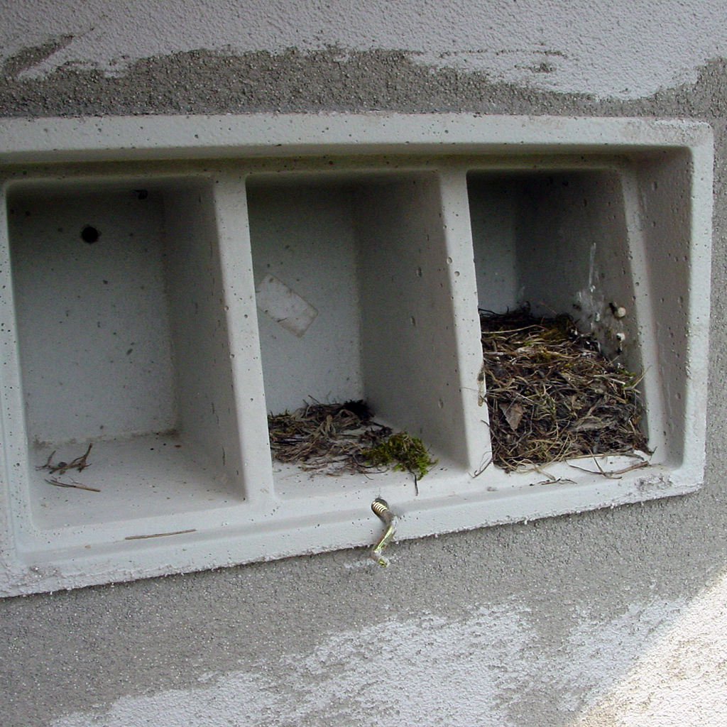 1SP CAJA NIDO TIPO TERRAZA PARA GORRIONES 4