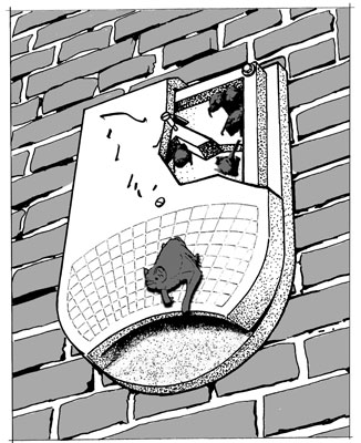 1FQ REFUGIO PARA MURCIÉLAGOS 5