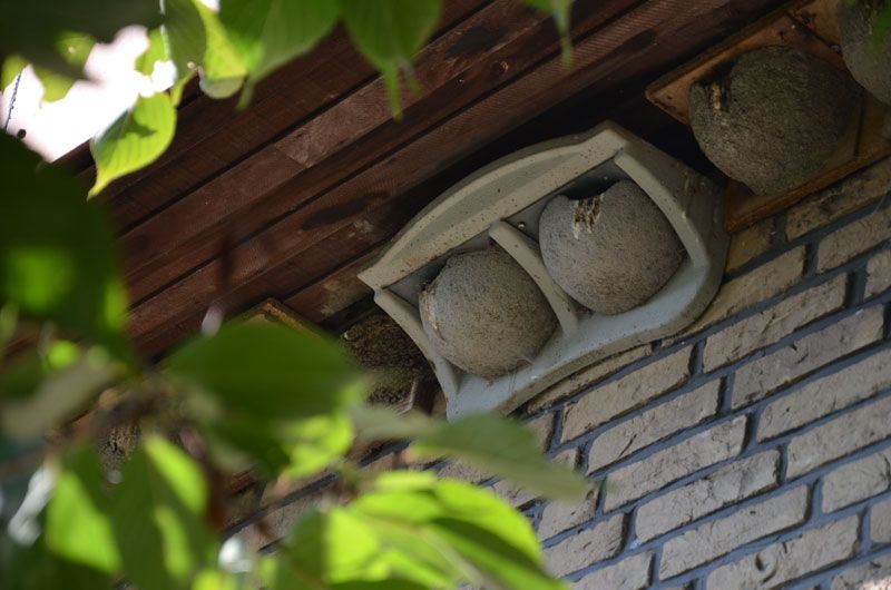 NR 11 TERRAZA PARA AVIÓN COMÚN 5