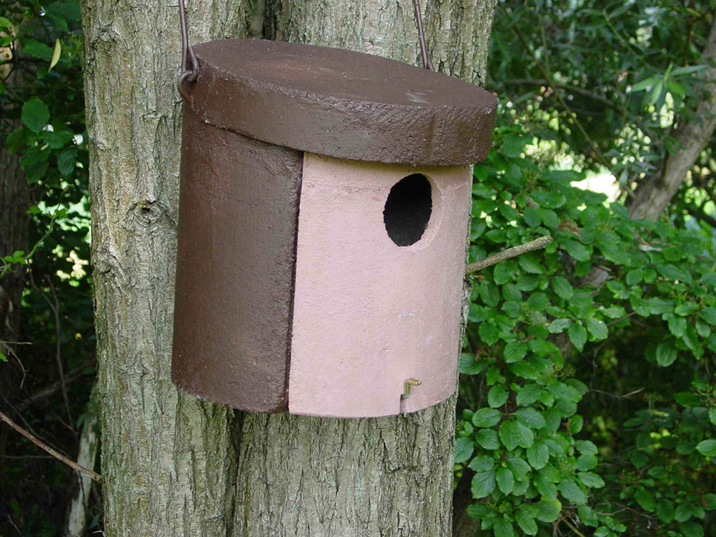 1CGA CAJA NIDO PARA CARRACA 2