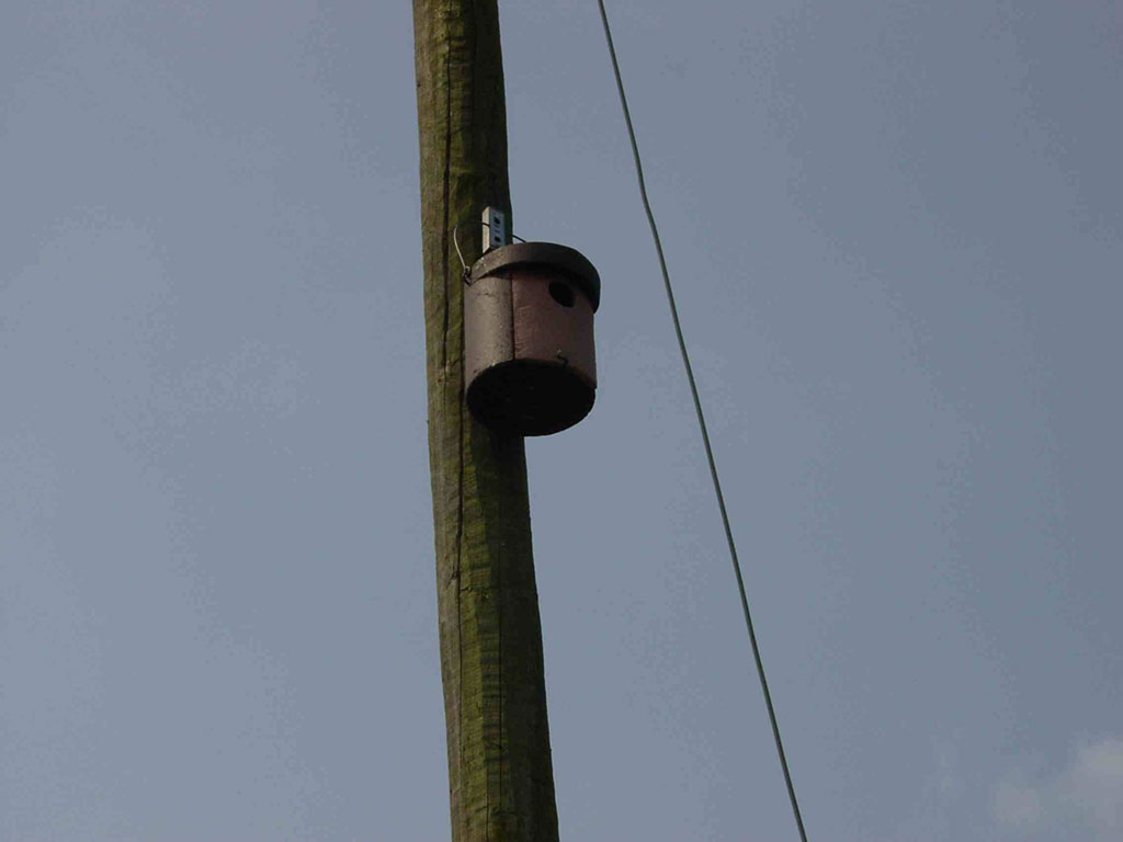 1CGA CAJA NIDO PARA CARRACA 3