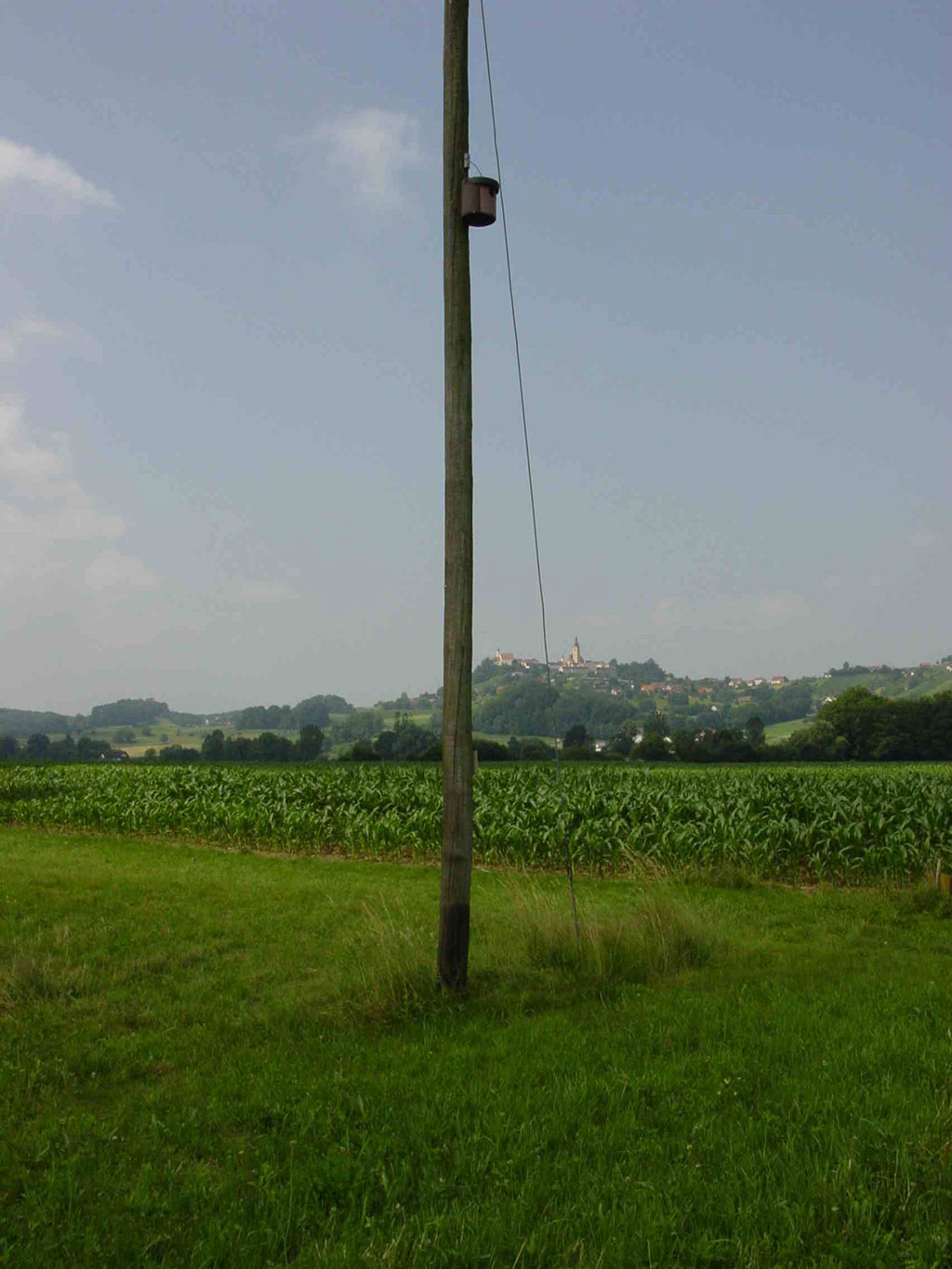 1CGA CAJA NIDO PARA CARRACA 6