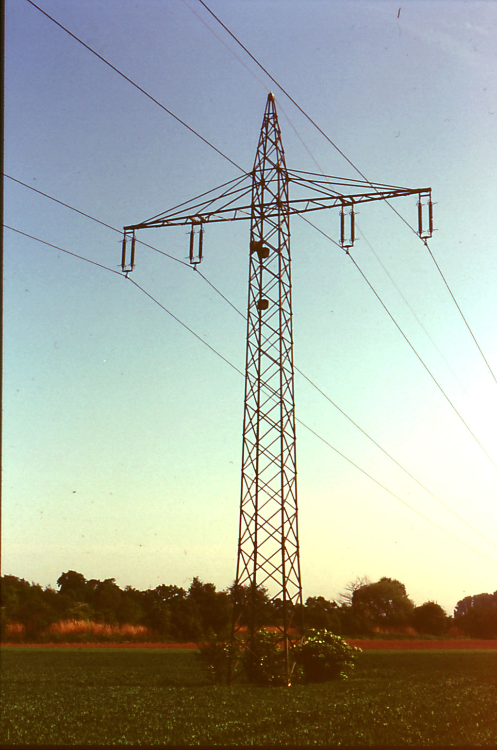 Nº 29 CAJA NIDO PARA GRAJILLA 2