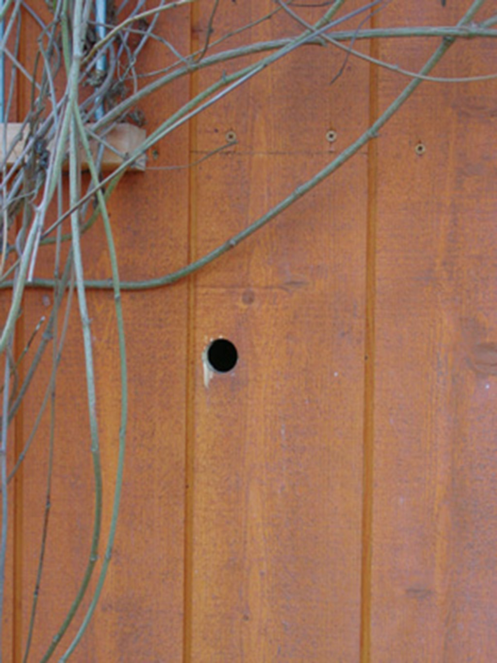 NIDO LADRILLO PARA PÁRIDOS TYP 24 2