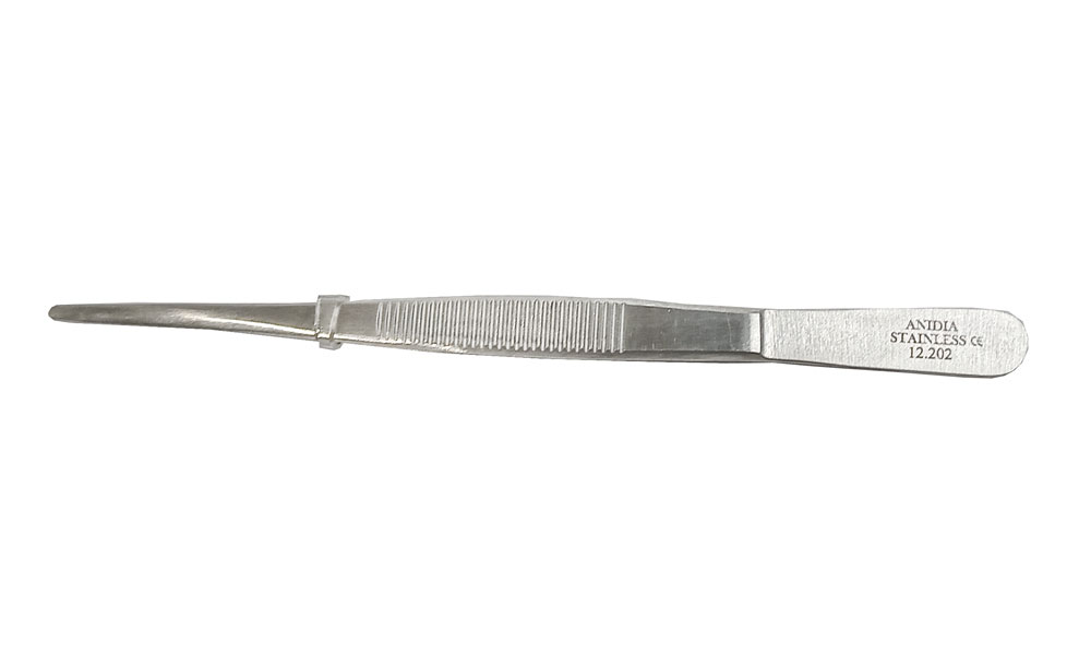 PINZAS DE DISECCIÓN RECTA PUNTA ROMA 14 CM 1