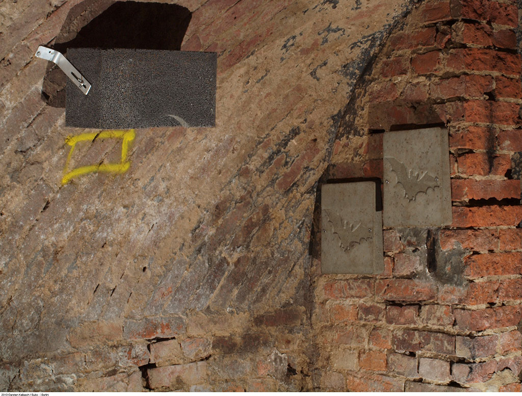 1GS REFUGIO PARA MURCIÉLAGOS 2