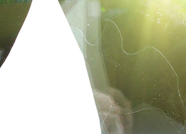 BIRDSTICKER SOBRE DE 5 ADHESIVOS TRANSPARENTES QUE PREVIENE EL CHOQUE DE PEQUEÑAS AVES EN CRISTALES 2
