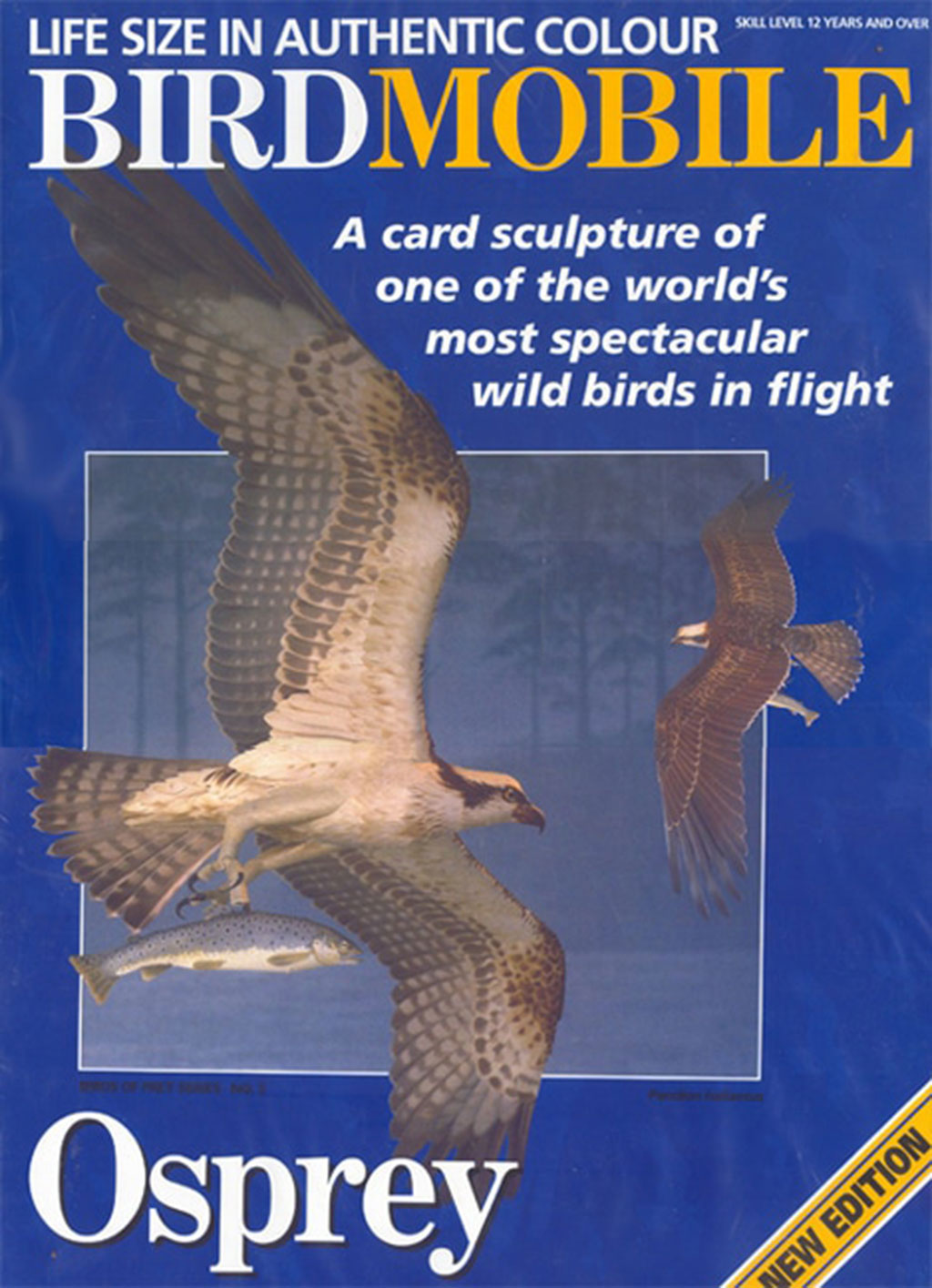 RECORTABLE BIRDMOBILE DE AGUILA PESCADORA 1