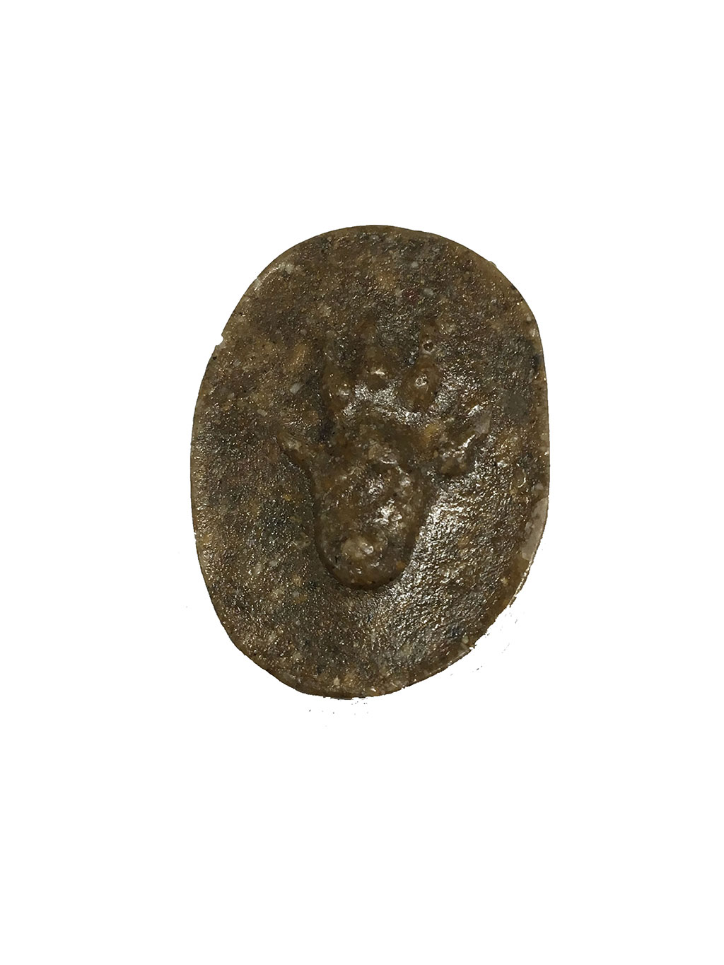 MOLDE HUELLA MUSTELA NIVALIS (COMADREJA, MOSTELA, DONICELA, ERBIÑUDE) 1