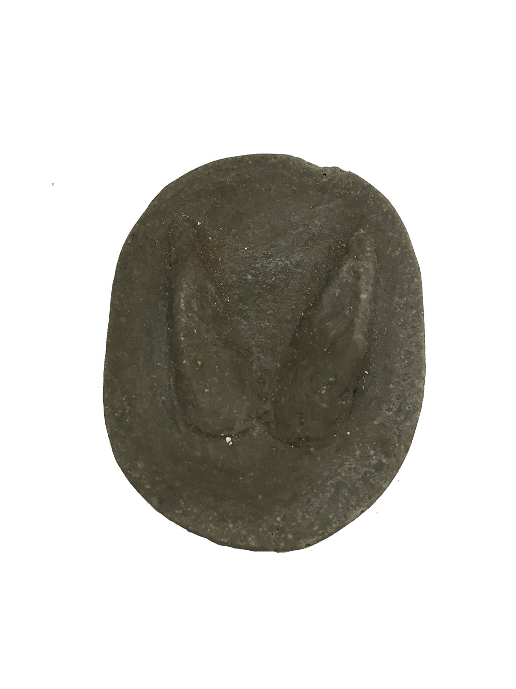 MOLDE HUELLA CRÍA CAPREOLUS CAPREOLUS (CORZO, CABIROL, ORKATZ) 1