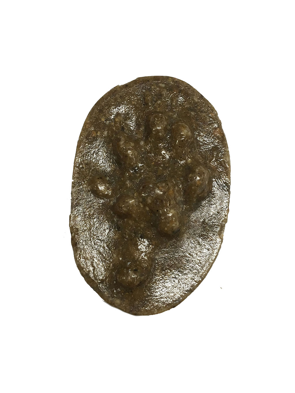 MOLDE HUELLA MUSTELA PUTORIUS (TURÓN, TURÓ, TOURÓN, IPURTATX) 1