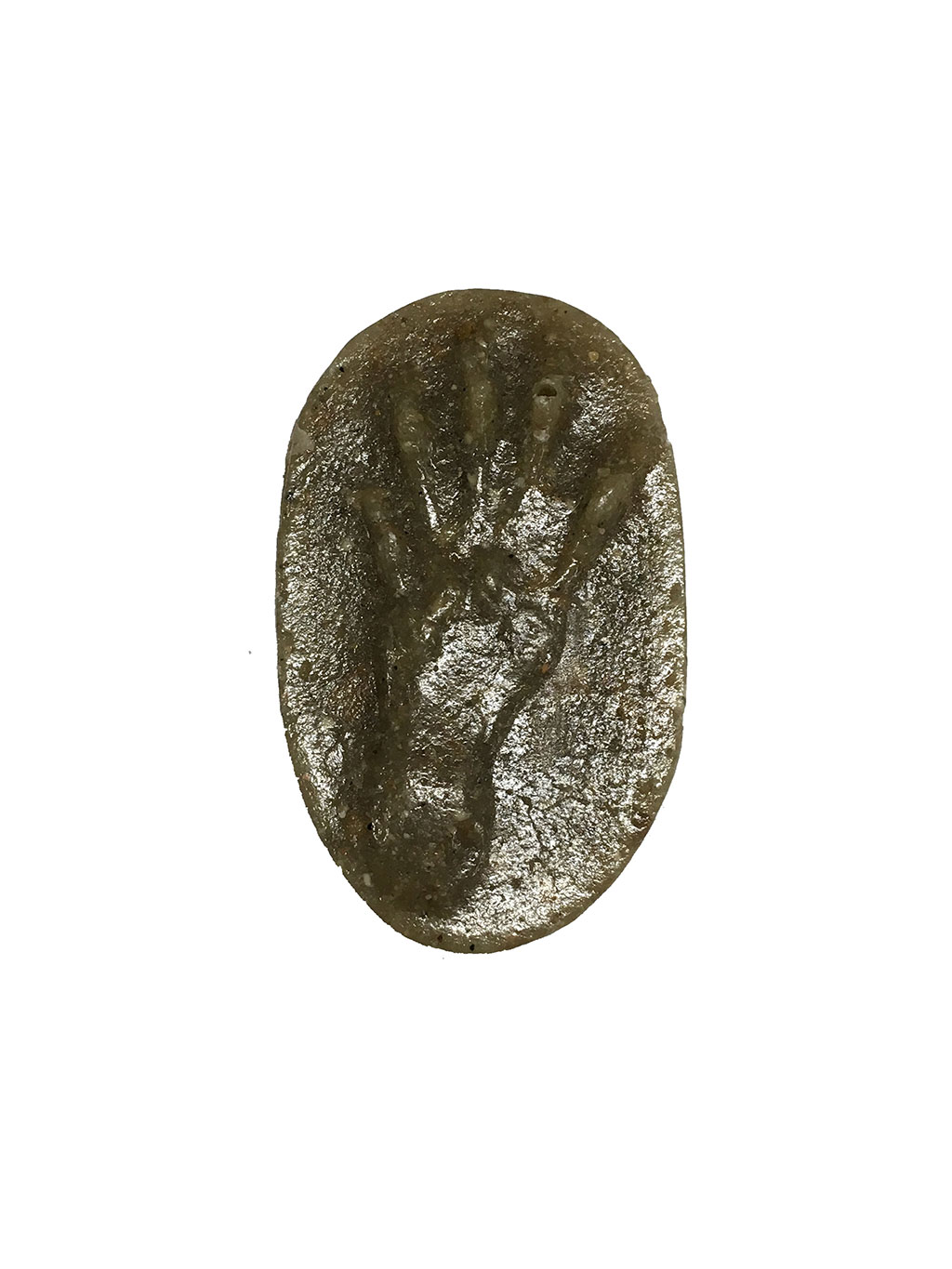 MOLDE HUELLA PIÉ SCIURUS VULGARIS (ARDILLA, ESQUIROL, ESQUÍO, KATAGORRI ARRUNTA) 1