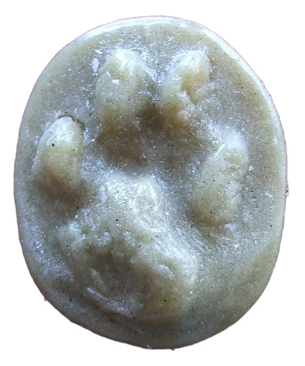 MOLDE HUELLA LYNX PARDINA (LINCE, LINX IBÈRIC, GATO CERVAL, KATAMOTZ) 1
