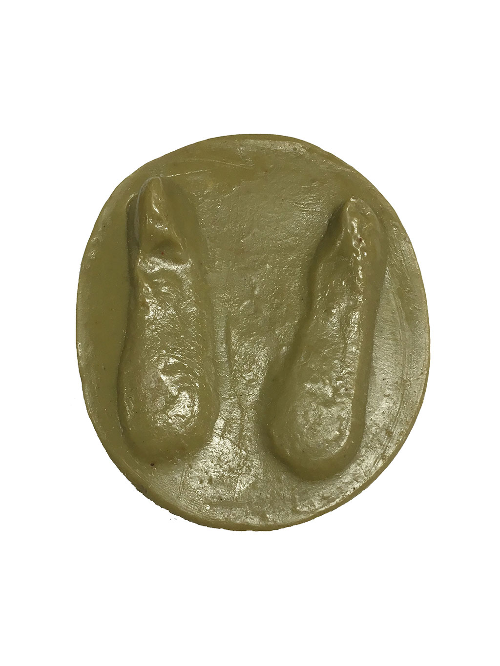MOLDE HUELLA RUPICAPRA RUPICAPRA (REBECO, ISARD, REBEZO, SARRE)