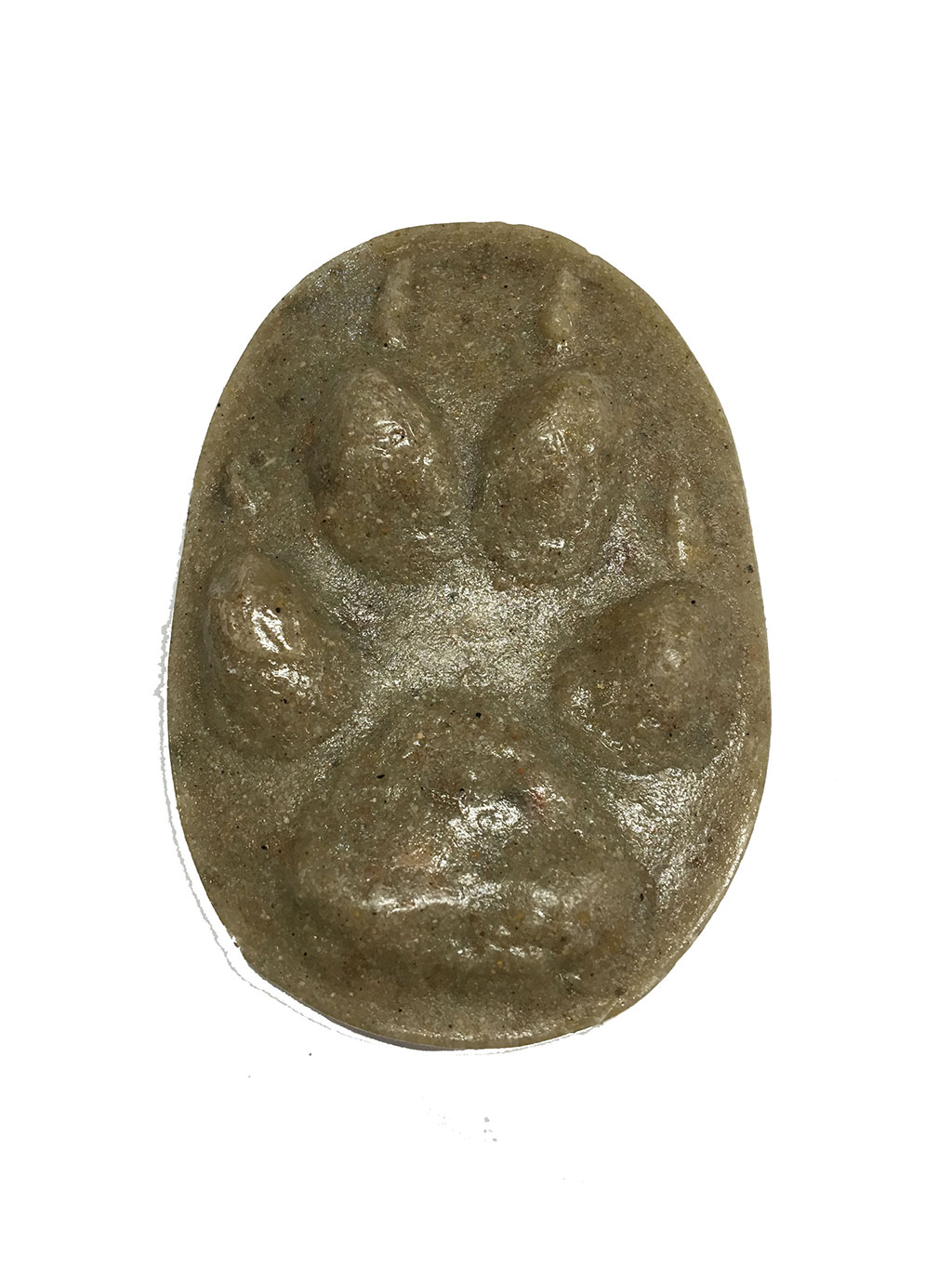 MOLDE HUELLA CANIS LUPUS (LOBO, LLOP, OTSOA)