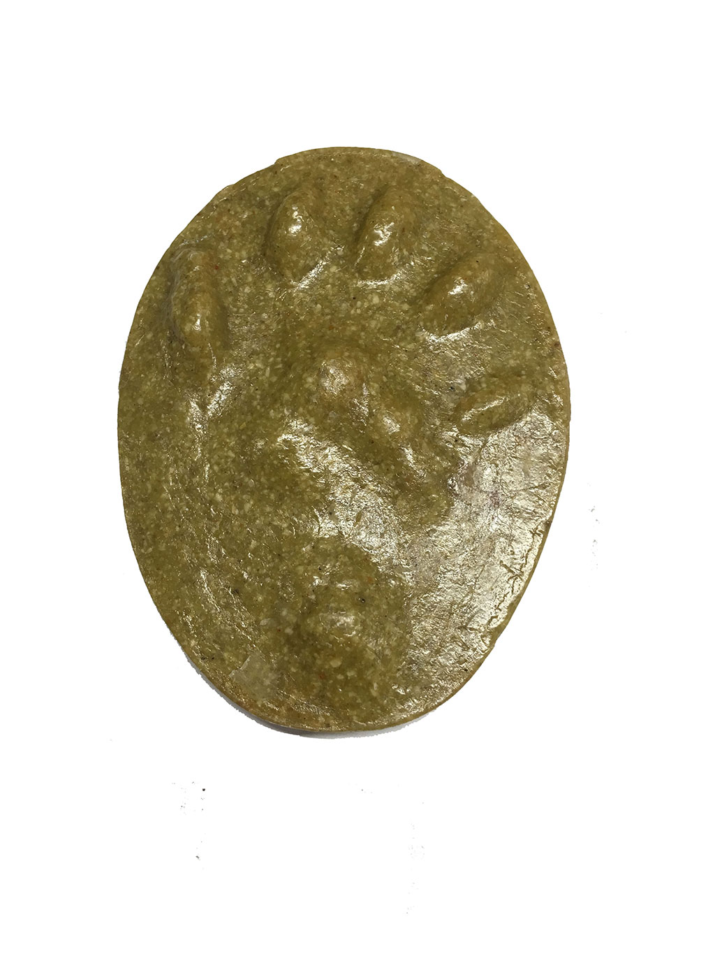 MOLDE HUELLA MANO LUTRA LUTRA (NUTRIA, LLÚDRIGA, LONDRA, IGARABA ARRUNTA) 1