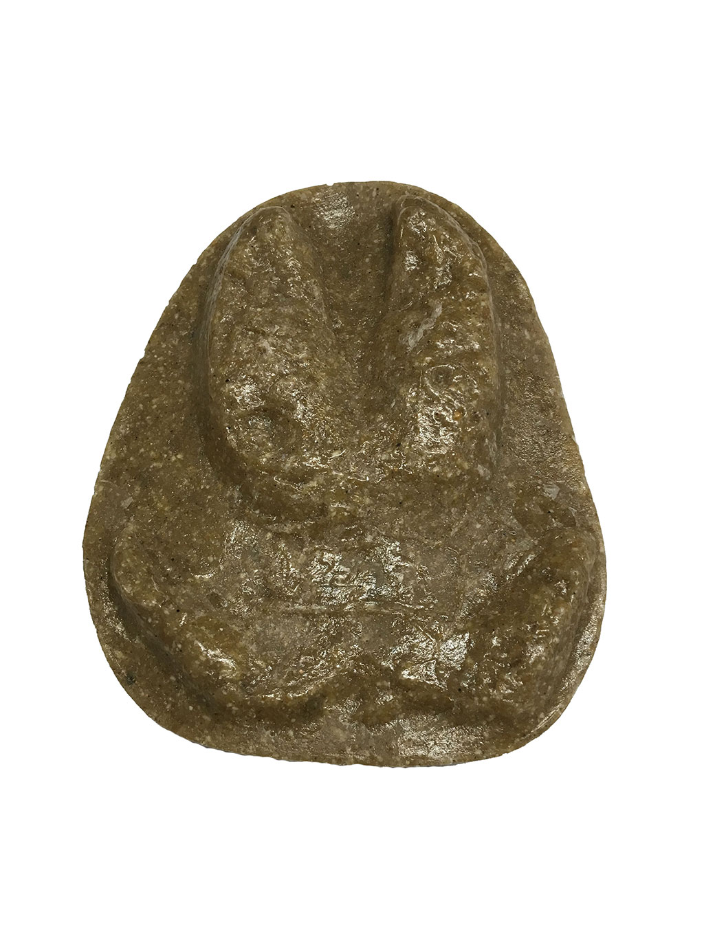 MOLDE HUELLA CON GUARDAS SUS SCROFA (JABALÍ, PORC SENGLAR, PORCO BRAVO, BASURDEA)  1