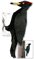 SEÑUELO DE PITO NEGRO PARA EVITAR DAÑOS EN POSTES U OTRAS CONSTRUCCIONES  DE MADERA 1