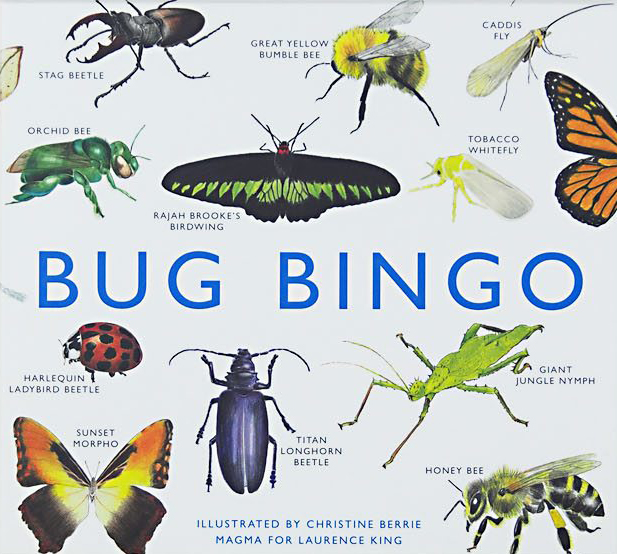 BUG BINGO - BINGO D INSECTES - BINGO DE INSECTOS 1