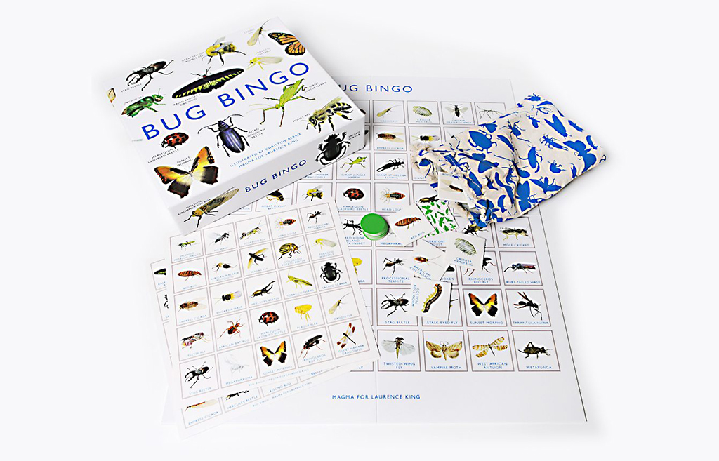 BUG BINGO - BINGO D INSECTES - BINGO DE INSECTOS 2