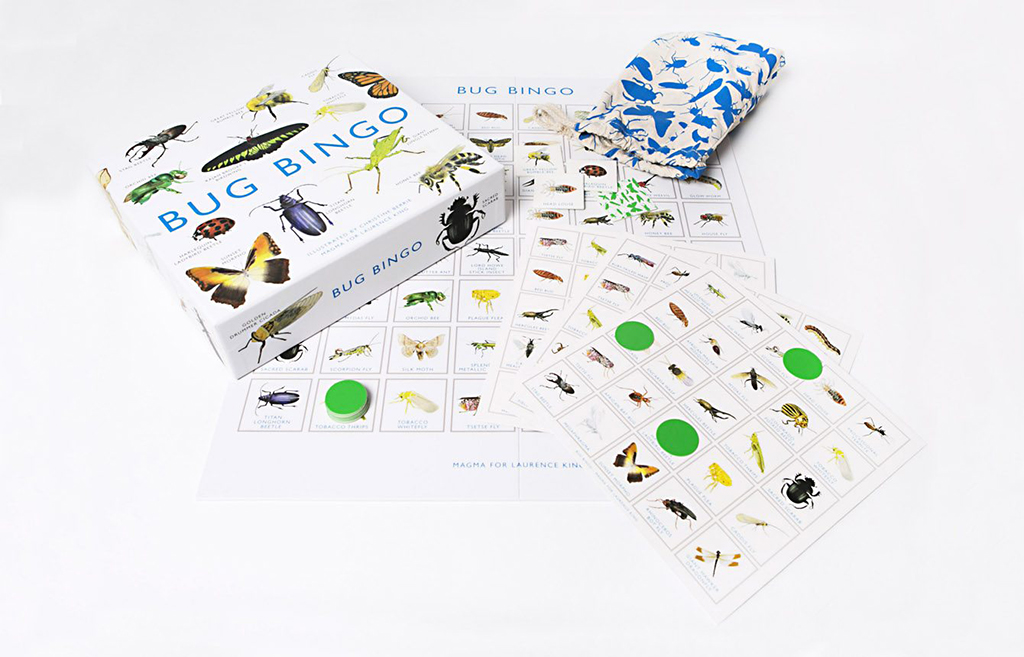 BUG BINGO - BINGO D INSECTES - BINGO DE INSECTOS 3