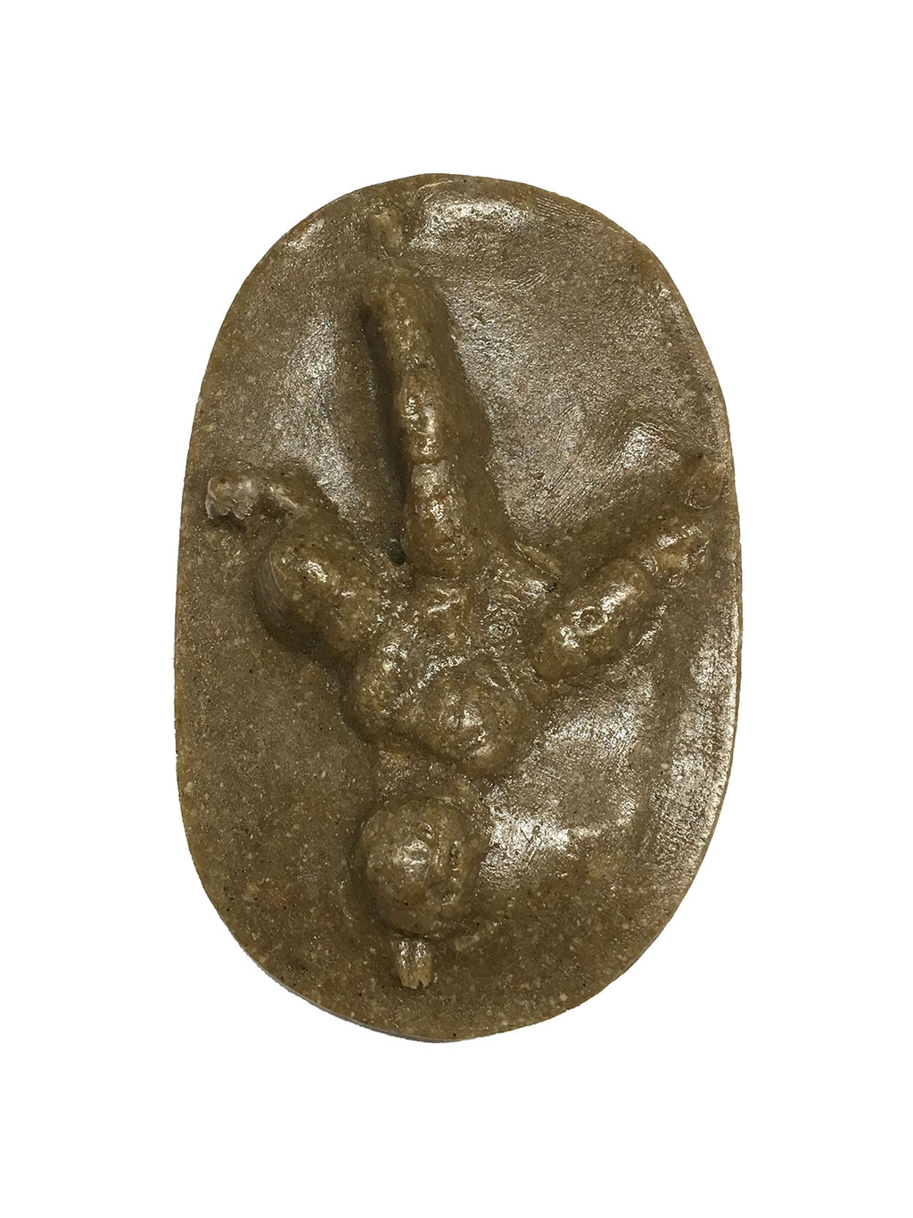 MOLDE HUELLA GYPS FULVUS (BUITRE LEONADO, VOLTOR COMÚ, VOITRE COMÚN, SAI ARRE) 1