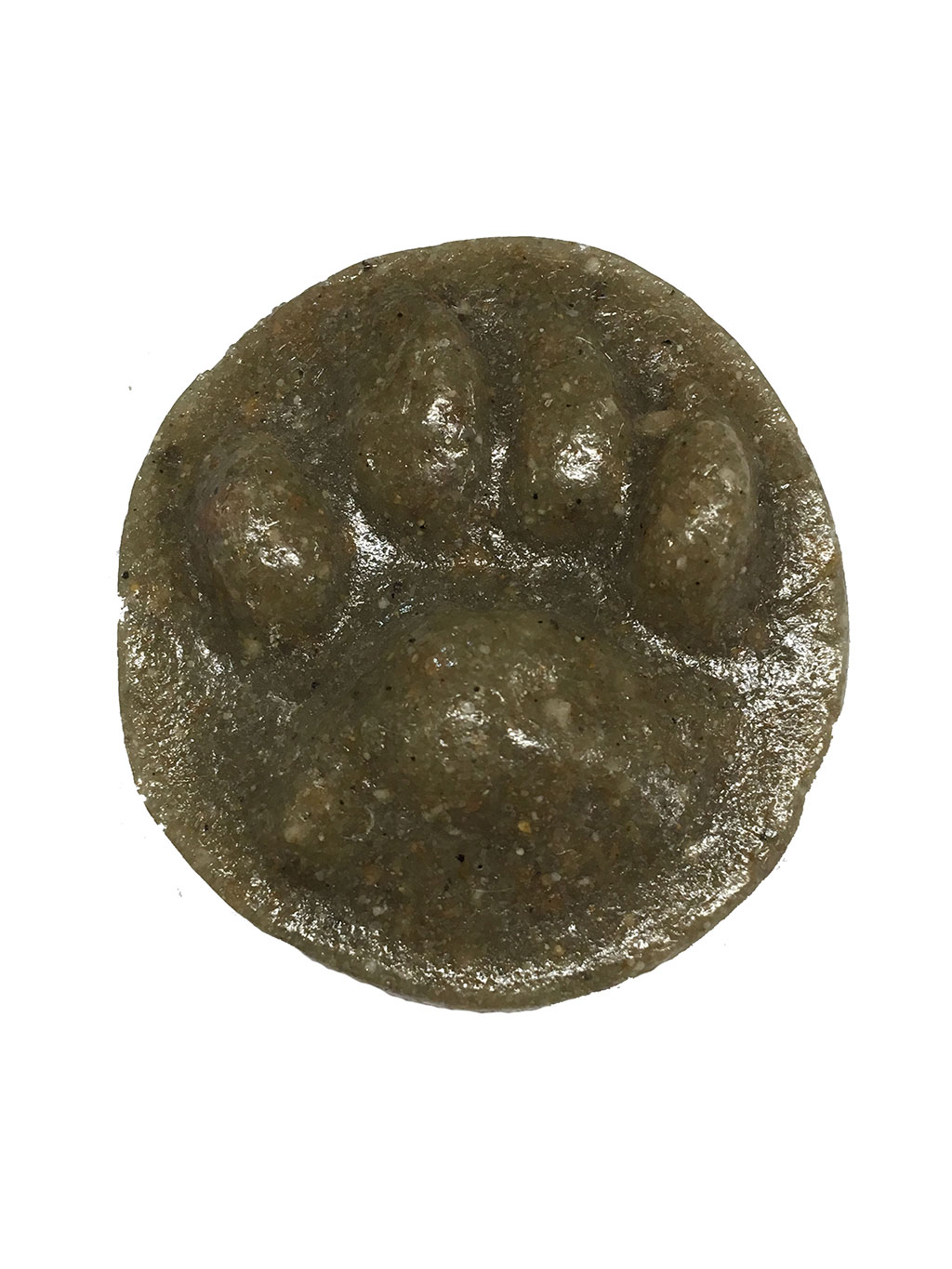 MOLDE HUELLA FELIS SILVESTRIS (GATO MONTÉS, GAT SALVATGE, GATO BRAVO, BASAKATU) 1