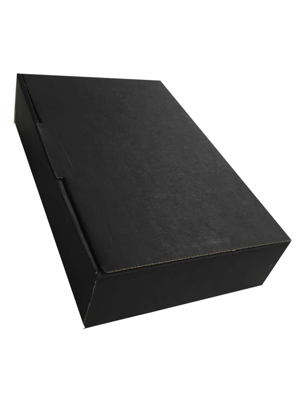 CAJA DE CARTÓN CON BASE DE FOAM PARA GUARDAR INSECTOS                                                                                                  1