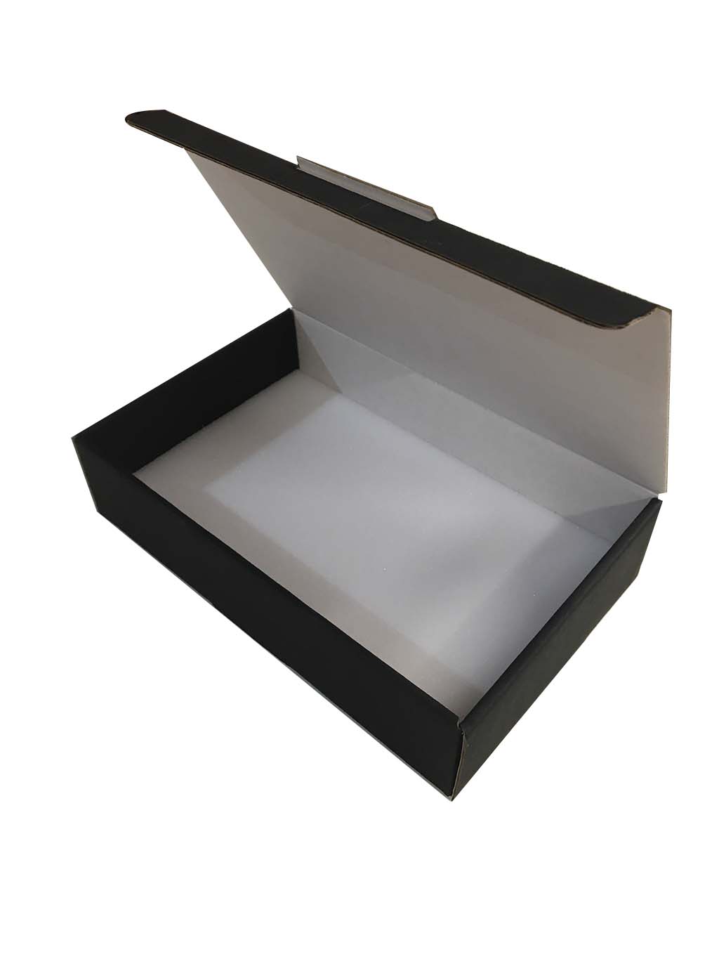 CAJA DE CARTÓN CON BASE DE FOAM PARA GUARDAR INSECTOS                                                                                                  2