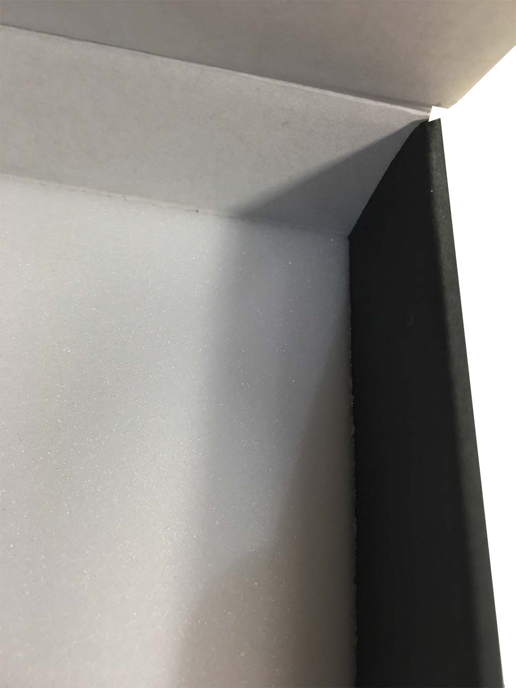 CAJA DE CARTÓN CON BASE DE FOAM PARA GUARDAR INSECTOS                                                                                                  3